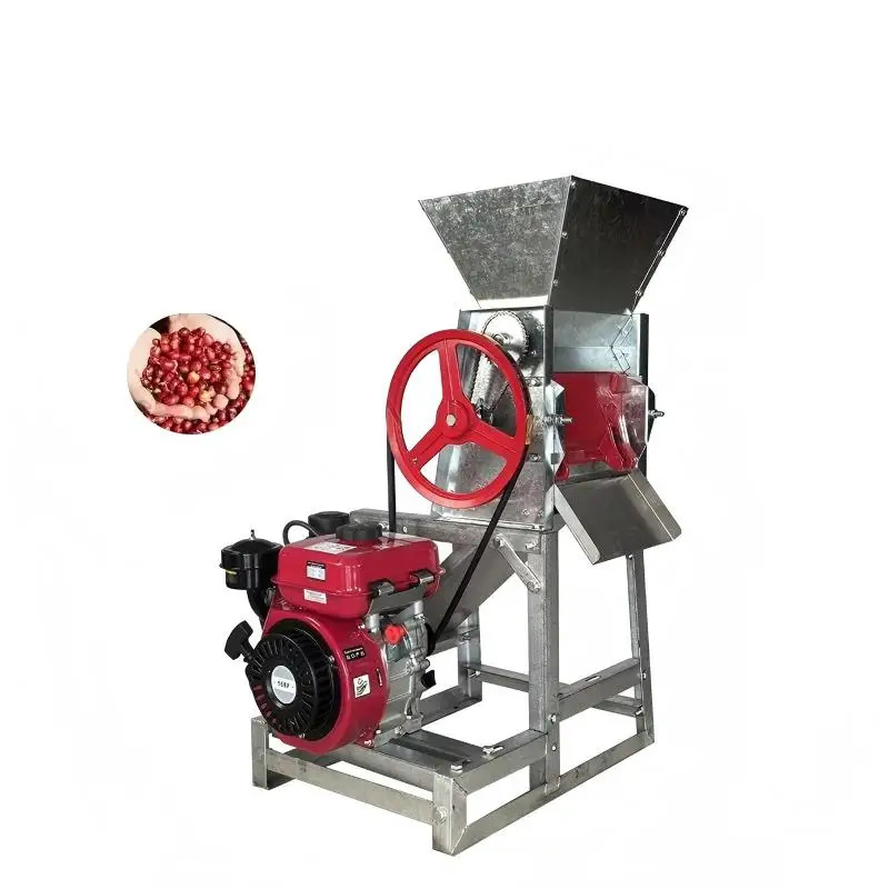 Coffee Equipment Usa - Birui Hochleistungs-Edelstahl-Kaffeebohnenpulper - 100-500 kg/h Kapazität